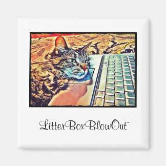 LitterBoxBlowOut Magnet