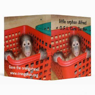 Little Alfred -  Baby Orangutan Binder