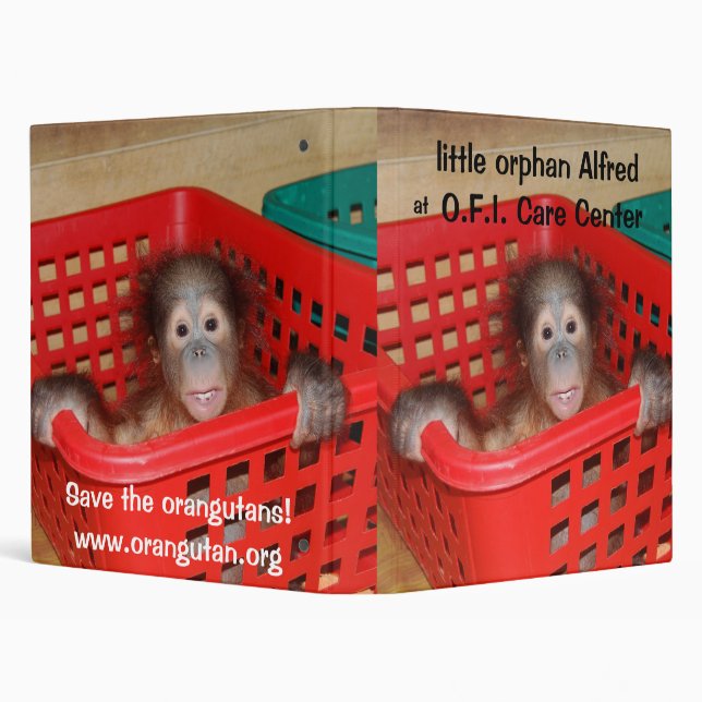 Little Alfred -  Baby Orangutan Binder (Background)