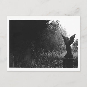 Little Angel Statue Old Cemetery Postcard