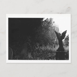 Little Angel Statue Old Cemetery Postcard