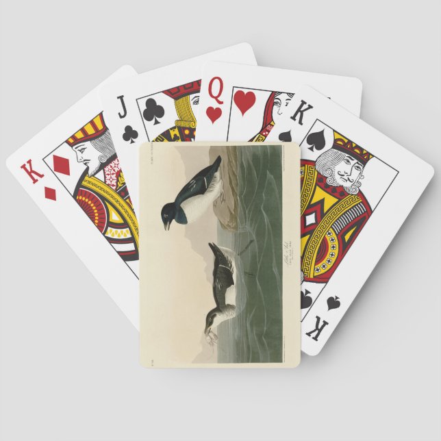 Little Auk (Dovekie) - Audubon's Birds of America Playing Cards (Back)