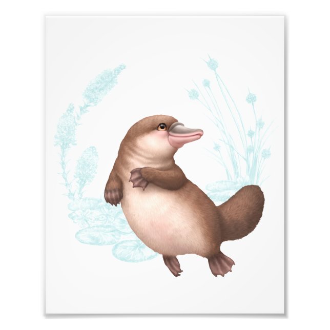 Little Aussie Friends - Platypus Photo Print (Front)