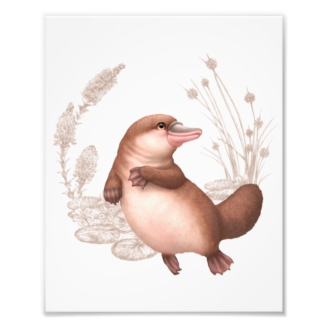 Little Aussie Friends - Platypus Photo Print (Front)
