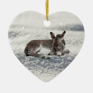 Little Baby Donkey in Snow Ceramic Ornament