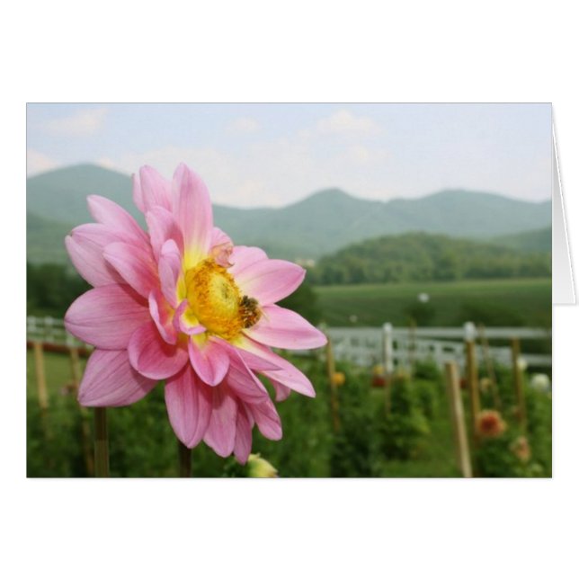 Little Bee Big World (Front Horizontal)