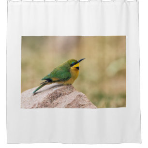 Little Bee-Eater