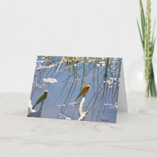Little Bee Eater Card