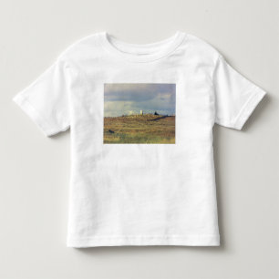 Little Bighorn Battlefield National Monument (phot Toddler T-shirt