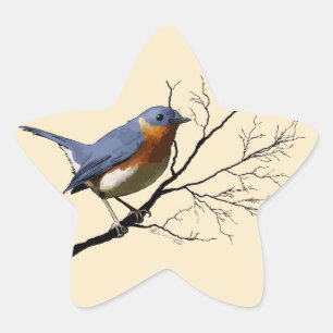 Little Bird Blue, autocollants