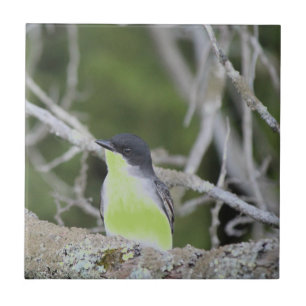 Little Bird Ceramic Tile
