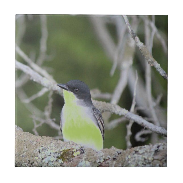 Little Bird Ceramic Tile (Front)