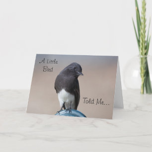 Little Bird Happy Birthday Card