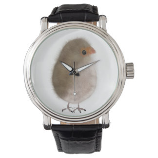 Little bird in a watch! watch