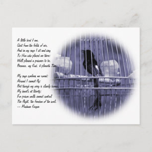 Little Bird in Cage Poem Postcard