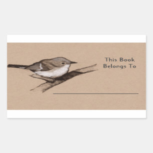 Little Bird in Charcoal: Book Plate: Wildlife Art Sticker