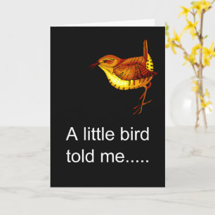 Little bird, new baby congrats card