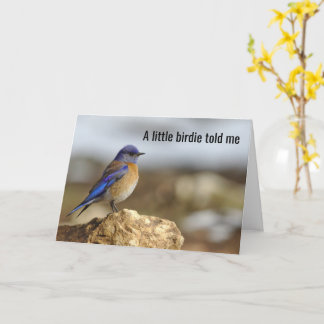 Little Bird Told Me, Be Careful What You Wish For- Card