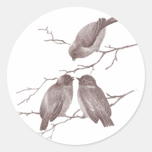 Little Birds Chatting on a Winter Branch Sepia Classic Round Sticker