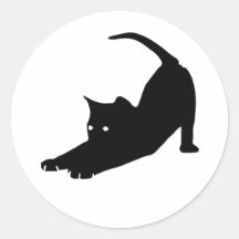 Little Black Cat