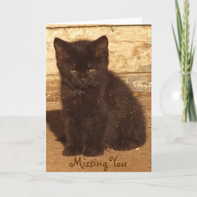 Little Black Kitten Missing You Card *Customizable (Front)