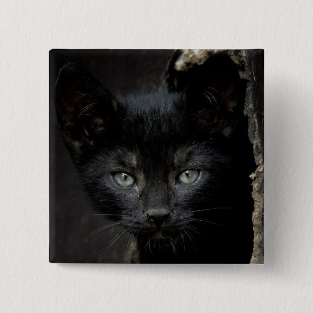 Little Black Kitty 2 Inch Square Button (Front)