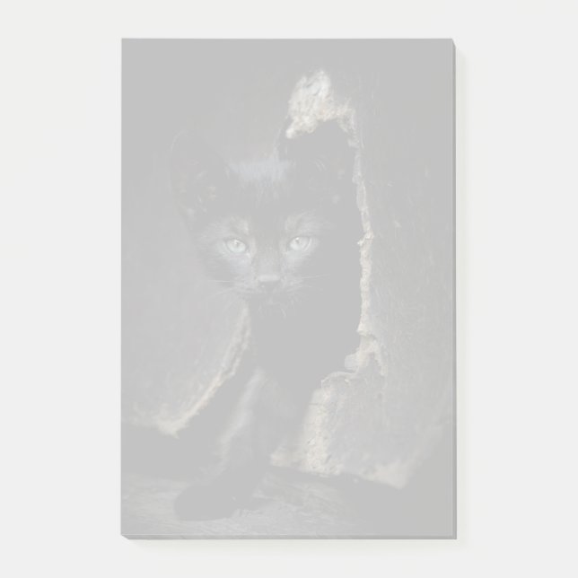 Little Black Kitty Post-it Notes (Front)