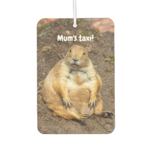 Little Black-Tailed Prairie Dog Air Freshener