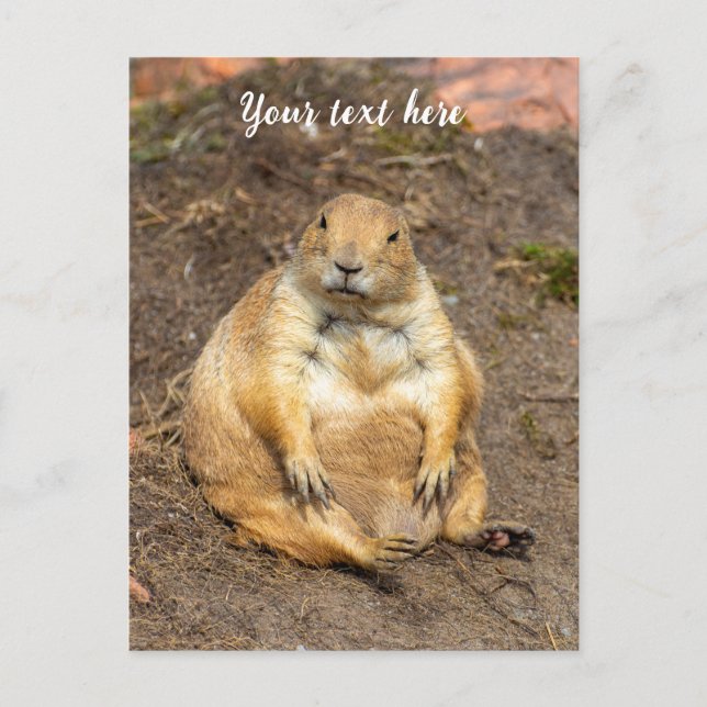 Little Black-Tailed Prairie Dog Holiday Postcard (Front)