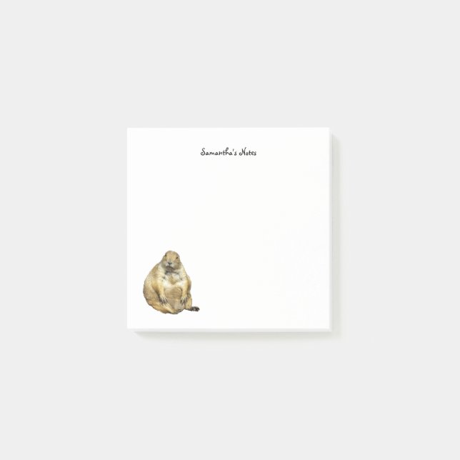 Little Black-Tailed Prairie Dog Notes (Front)