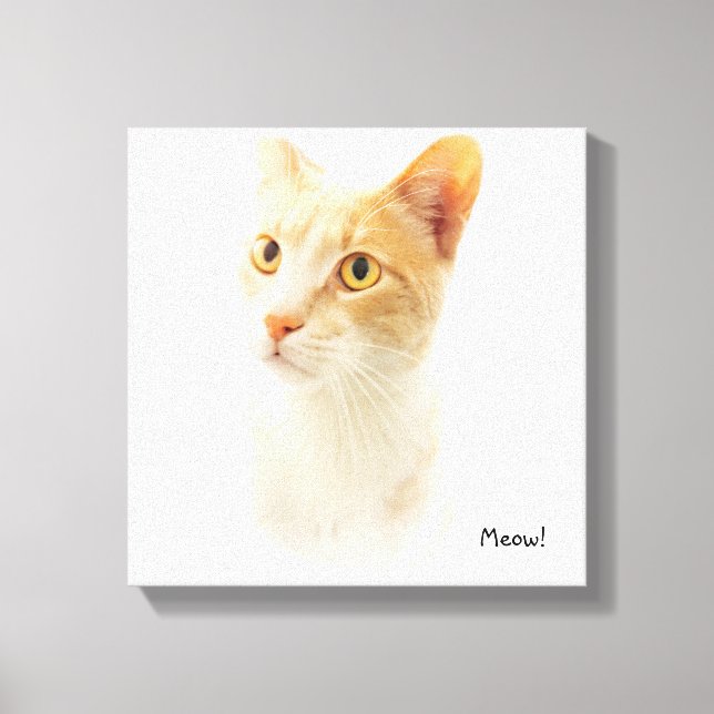 Little Blondie Cat Wondering Canvas Print (Front)