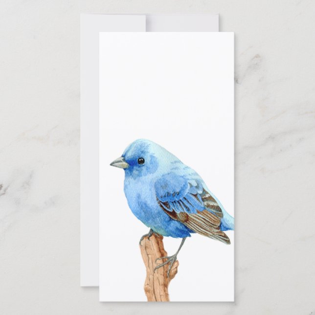 Little Blue Bird (Front)