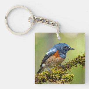 Little blue bird keychain