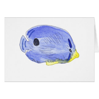 Little Blue Fish Cards