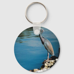 Little blue heron keychain