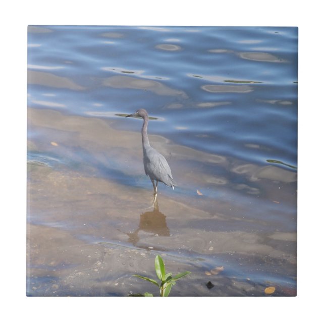 Little Blue Heron Tile (Front)