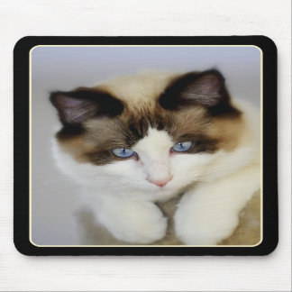 Little Boy Blue Mousepad
