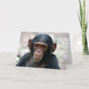 Little Boy Card