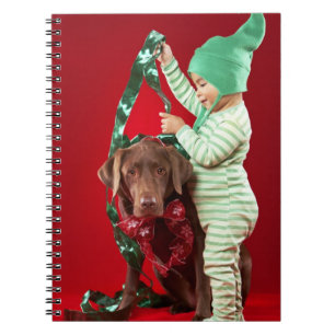 Little boy decorating a dog notebook