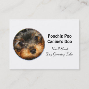 Little Breed Dog Groomer Professional 3.5" x 2.5" Business Card
