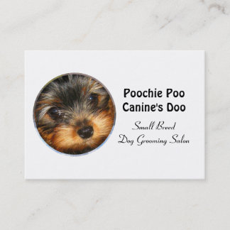 Little Breed Dog Groomer Professional  3.5" x 2.5" Business Card