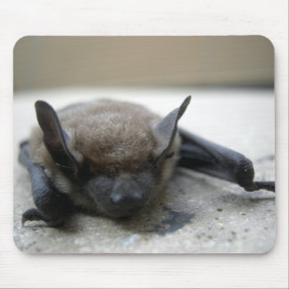 Little brown bat (Myotis lucifugus) Mouse Pad