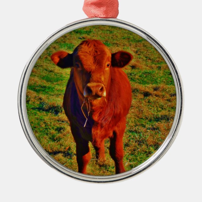 Little Brown Cow Bright Green Grass Metal Ornament (Front)