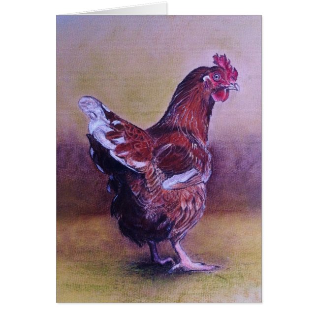 Little Brown hen (Front)