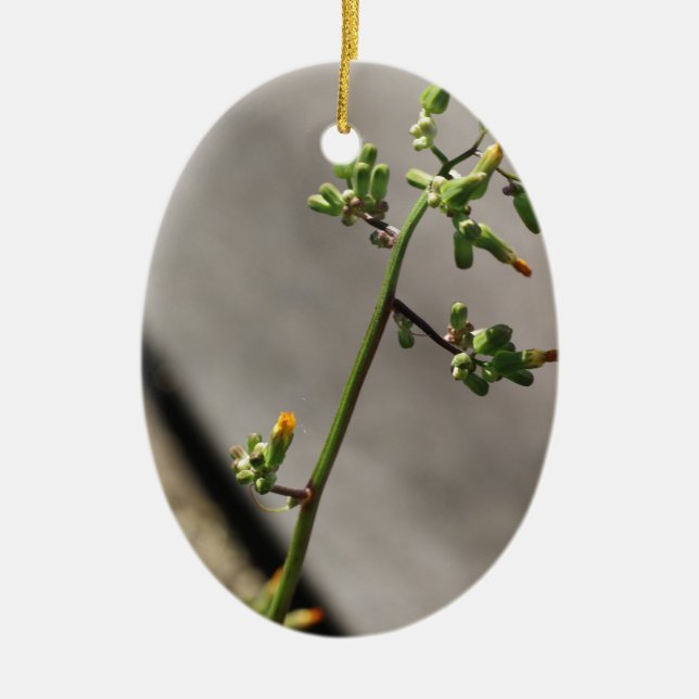 Little Bug, Little Flower Ceramic Ornament (Front)