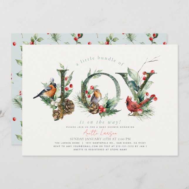 Little Bundle of Joy Birds Boy Baby Shower Invitation (Front/Back)