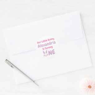 Little Bunny 1st Birthday Classic Round Sticker