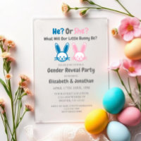 Little Bunny Gender Reveal
