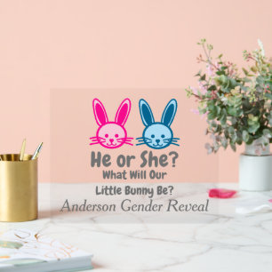 Little Bunny Gender Reveal Acrylic Sign