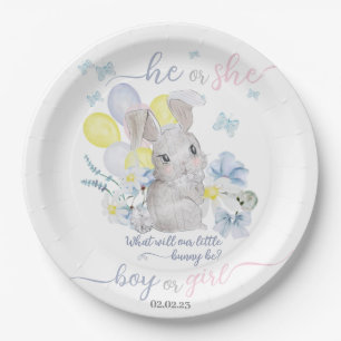Little bunny gender reveal party plate. paper plat plate